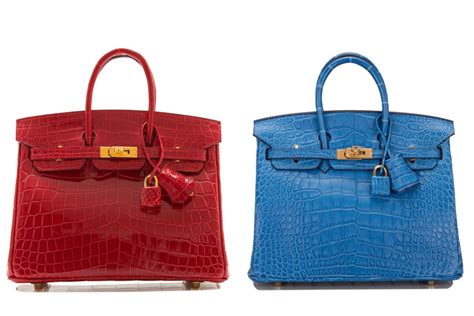 hermes crocodile abuse|hermes crocodile vs alligator.